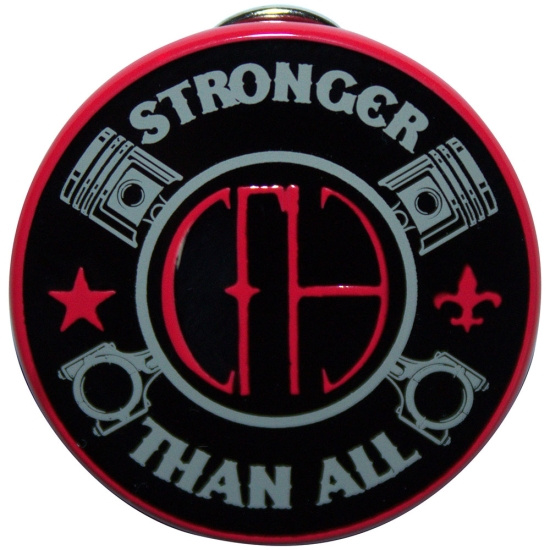 Pantera - Stronger Pin Badge