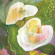 Mae Powell - Making Room For The Light (Ltd Moon Mae Powell - Making Room For The Light (Ltd Moon
