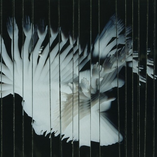 Scaler - Endlessly