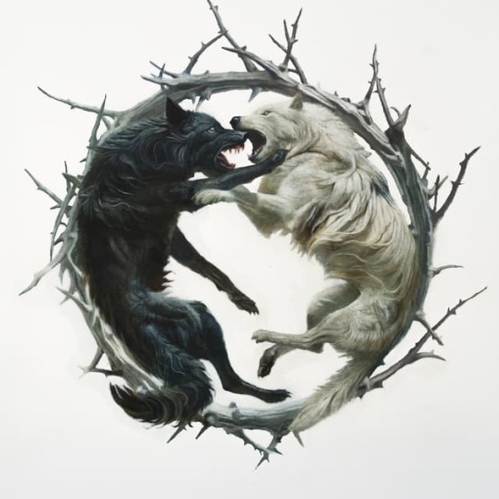 Stellar Circuits - Phantom : : Phoenix