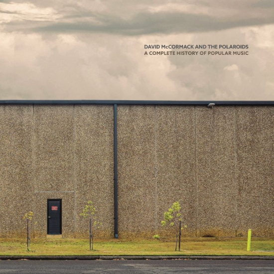 Mccormack David And The Polaroids - A Complete History Of Popular Music