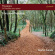 Francoise Choveaux - Paysages - 24 Preludes Pour Piano Francoise Choveaux - Paysages - 24 Preludes Pour Piano