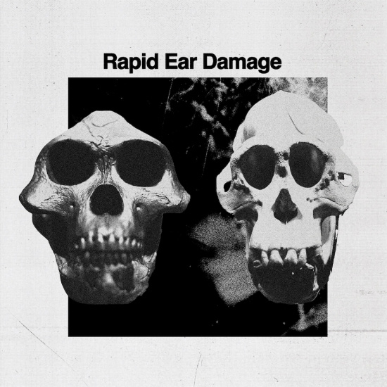 Rapid Ear Damage - R.E.D (Black Vinyl LP)