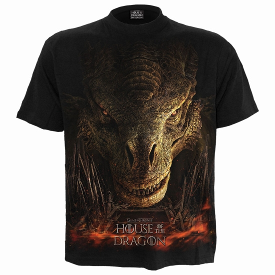 House Of The Dragon - Dragon Throne - T-Shirt