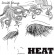 Société Étrange - Heat Société Étrange - Heat