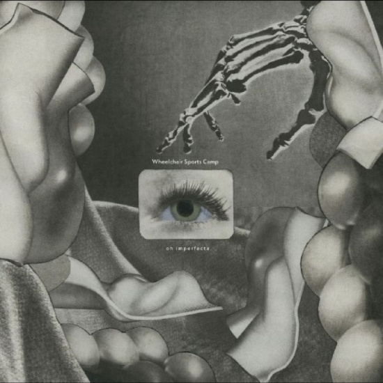 Wheelchair Sports Camp - Oh Imperfecta!