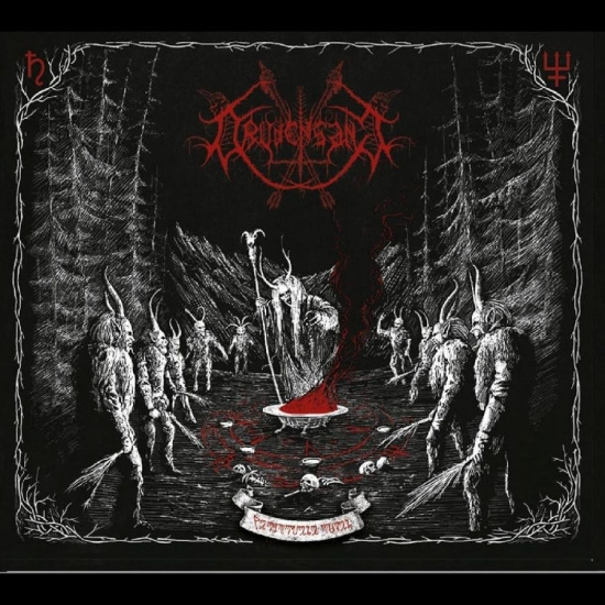 Drudensang - Verborgene Riten