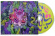 Dance Gavin Dance - Tree City Sessions 3 Dance Gavin Dance - Tree City Sessions 3