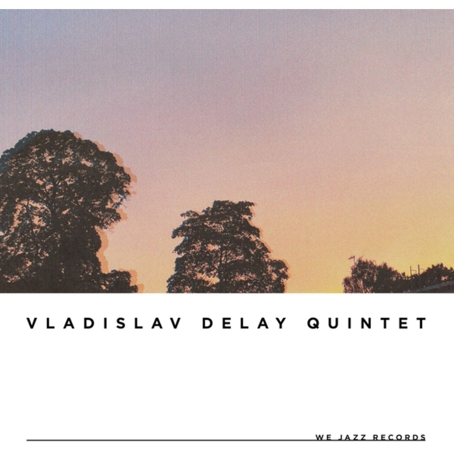 Vladislav Delay Quintet - Vd5
