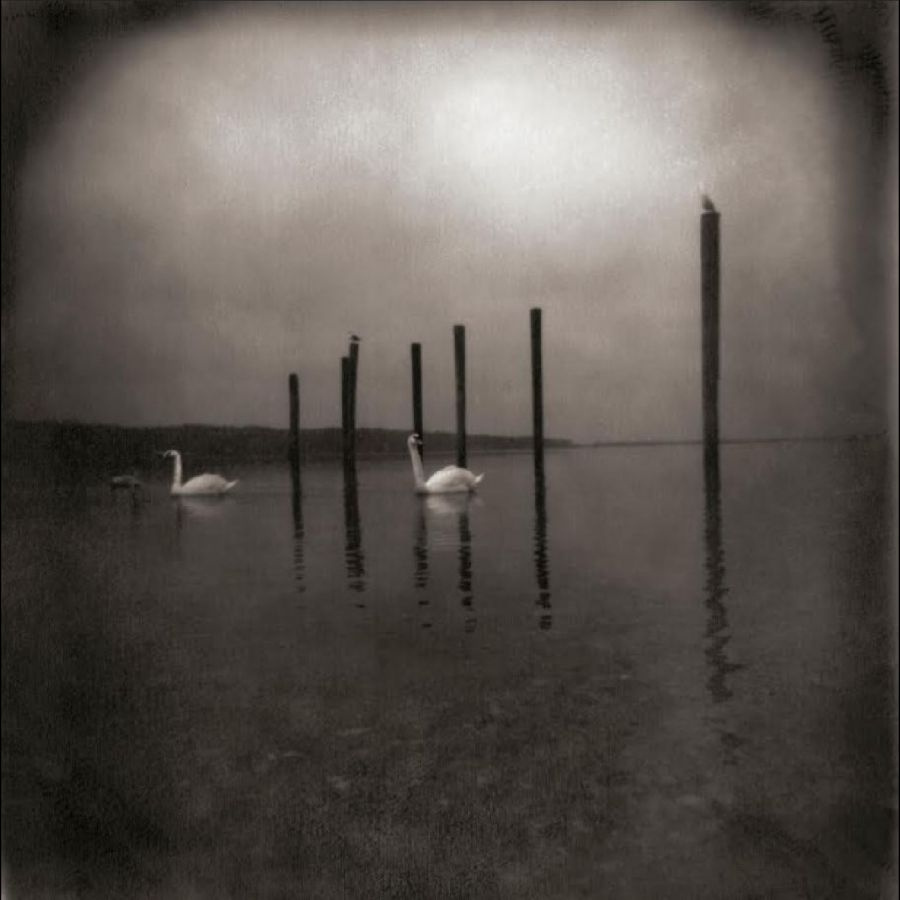 Om - Conference Of The Birds