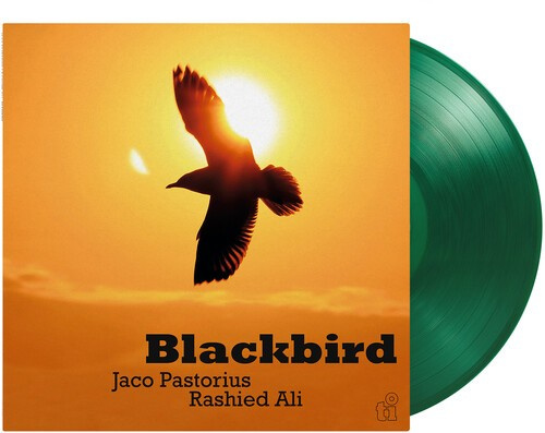 Jaco Pastorius & Rashied Ali - Blackbird