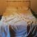 The Jim Carroll Band - Dry Dreams The Jim Carroll Band - Dry Dreams