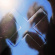 The Xx - I See You - Incl. Bonus Track (Import) The Xx - I See You - Incl. Bonus Track (Import)