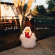 French Film - Yours + Five (Ruby Red Vinyl) French Film - Yours + Five (Ruby Red Vinyl)