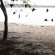 The Tallest Man On Earth - There's No Leaving Now The Tallest Man On Earth - There's No Leaving Now