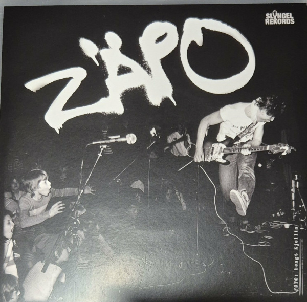 Zäpo - Genom Mitt Fönster