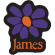 James - Orange Logo Purple Daisy Sticker James - Orange Logo Purple Daisy Sticker