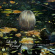 Lonely Crowd - By The Time You Read This Lonely Crowd - By The Time You Read This