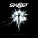 Skillet - After The Storm Skillet - After The Storm