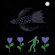 Bonnie Prince Billy - Purple Bird Bonnie Prince Billy - Purple Bird