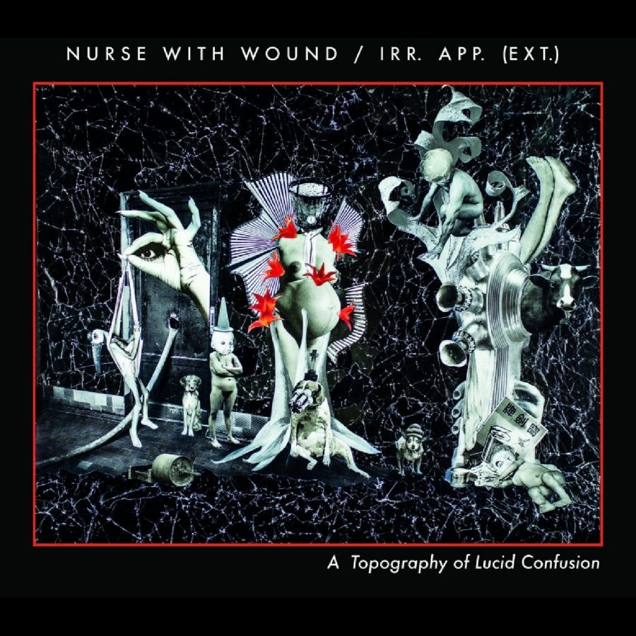 Nurse With Wound/Irr.App.(Ext.) - A Topography Of Lucid Confusion