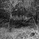Moonwraith - To The Woods Moonwraith - To The Woods