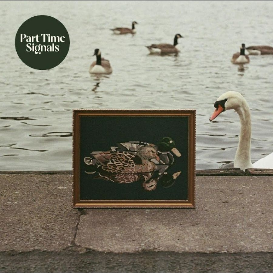 Part Time Signals - Ducks Back, Baby