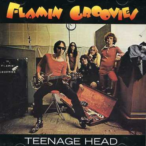 Groovies Flamin - Teenage Head
