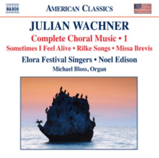 Wachner - Sacred And Secular Chamber Choir Wo