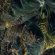 Marduk - Opus Nocturne Marduk - Opus Nocturne