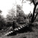 Timber Timbre - Timber Timbre Timber Timbre - Timber Timbre