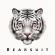 Bearsuit - The Phantom Forest Bearsuit - The Phantom Forest
