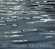 Saunders Ric - Still Waters Saunders Ric - Still Waters