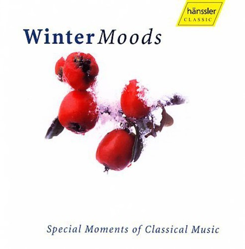 Blandade Artister - Winter Moods