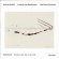Beethoven Ludwig Van - The Piano Sonatas, Volume Iv Beethoven Ludwig Van - The Piano Sonatas, Volume Iv