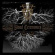 Various Artists - Blood Ceremonies Dvd/Cd Various Artists - Blood Ceremonies Dvd/Cd
