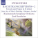Bach - Stokowski Transcriptions Vol 2 Bach - Stokowski Transcriptions Vol 2