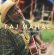 Taj Mahal - And The Hula Blues (180 G) Taj Mahal - And The Hula Blues (180 G)
