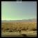 Quiet Life - Wild Pack Quiet Life - Wild Pack